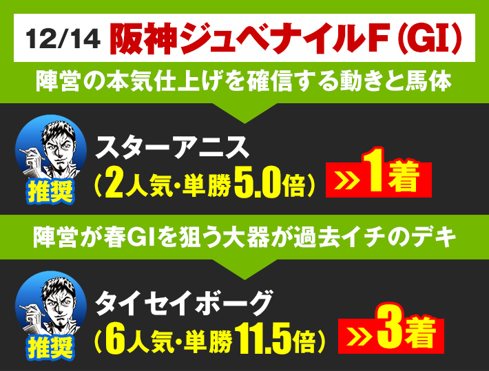 第70回 有馬記念 (G1)で万馬券・夢馬券狙うなら暴露王- www.896.co.jp -